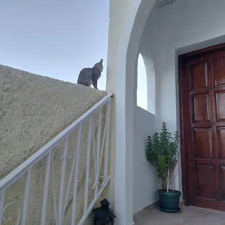 Evelina Means Vacation Beside The Sea, Who Wants To Swim In A Box Of Chemicals, Swimming In The Sea,there Is Nothing Like A Morning Walk On A Beach-beachlife Definitely Has A Different Vibe 게스트하우스