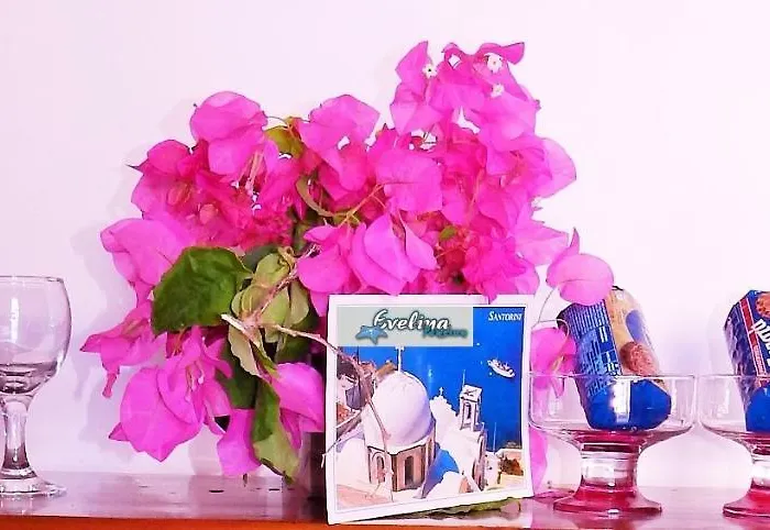 게스트하우스 Evelina Means Vacation Beside The Sea, Who Wants To Swim In A Box Of Chemicals, Swimming In The Sea,there Is Nothing Like A Morning Walk On A Beach-beachlife Definitely Has A Different Vibe 페리사