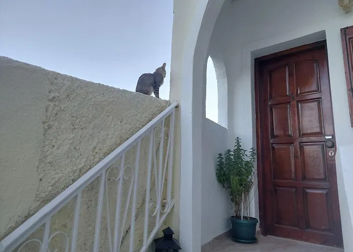 Evelina Means Vacation Beside The Sea, Who Wants To Swim In A Box Of Chemicals, Swimming In The Sea,there Is Nothing Like A Morning Walk On A Beach-beachlife Definitely Has A Different Vibe 게스트하우스