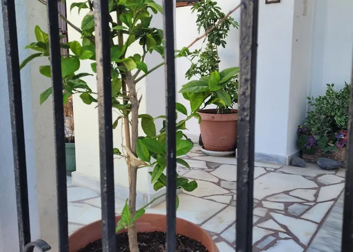 게스트하우스 Evelina Means Vacation Beside The Sea, Who Wants To Swim In A Box Of Chemicals, Swimming In The Sea,there Is Nothing Like A Morning Walk On A Beach-beachlife Definitely Has A Different Vibe